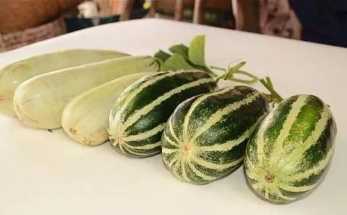 微信免费吃网红瓜,免费尝鲜!一起解锁微信网红瓜的秘密 第2张 微信免费吃网红瓜,免费尝鲜!一起解锁微信网红瓜的秘密 第2张